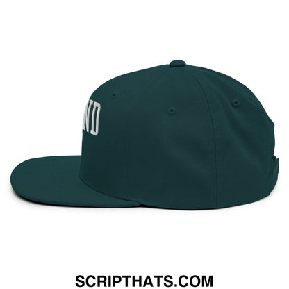 Dark green defund ice snapback hat with white embroidered lettering and flat bill brim, side view