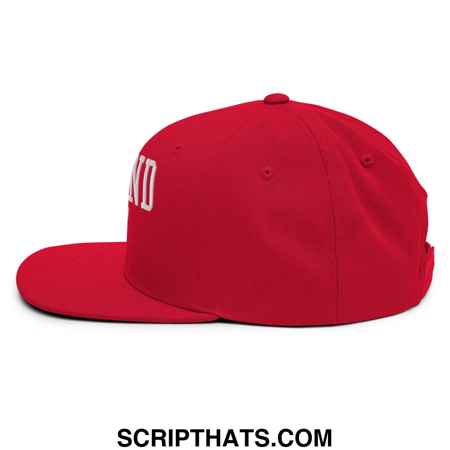 Red snapback cap with white embroidered defund ice lettering on the side and flat bill brim design
