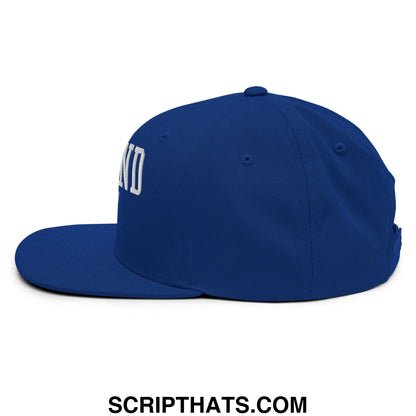 Royal blue snapback hat with white embroidered defund ICE lettering on the side and flat bill brim