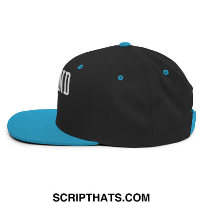 Black and teal snapback hat with white embroidered defund ice lettering on the side and flat bill brim