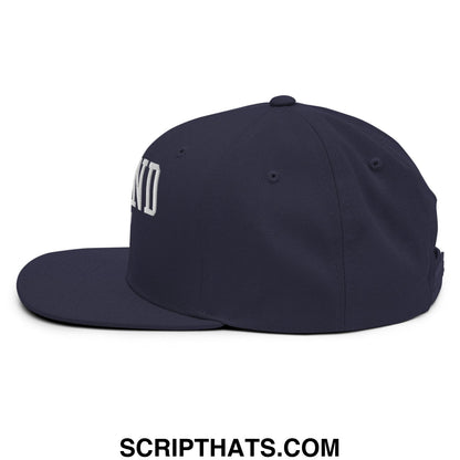 Dark navy snapback hat with white defund ice embroidered lettering on the side and flat bill brim