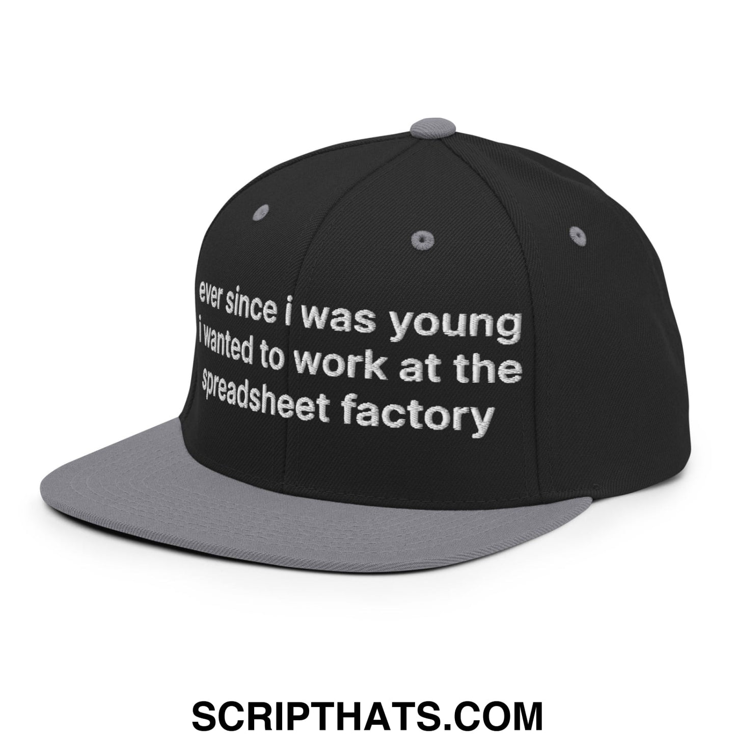 Ever Since I was Young I Wanted to Work at The Spreadsheet Factory Embroidered Flat Bill Brim Snapback Hat Black Silver