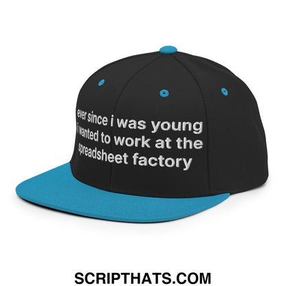 Ever Since I was Young I Wanted to Work at The Spreadsheet Factory Embroidered Flat Bill Brim Snapback Hat Black Teal
