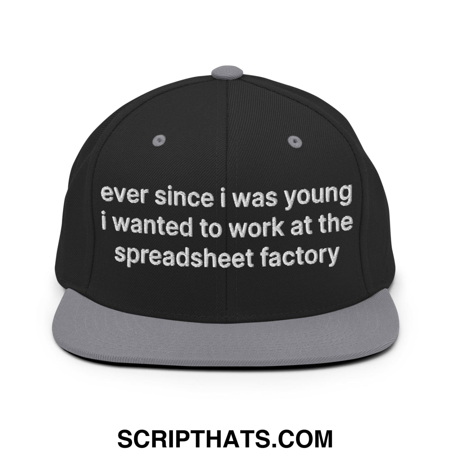 Ever Since I was Young I Wanted to Work at The Spreadsheet Factory Embroidered Flat Bill Brim Snapback Hat Black Silver