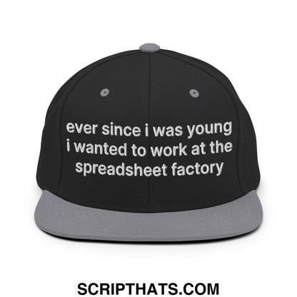 Ever Since I was Young I Wanted to Work at The Spreadsheet Factory Embroidered Flat Bill Brim Snapback Hat Black Silver
