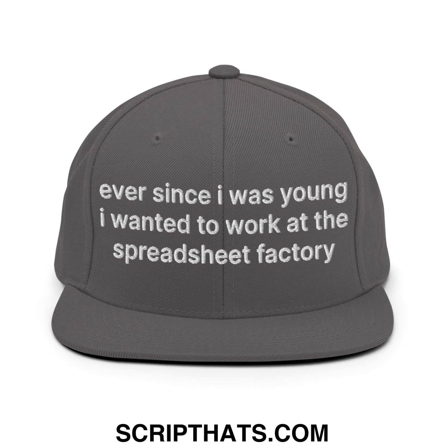 Ever Since I was Young I Wanted to Work at The Spreadsheet Factory Embroidered Flat Bill Brim Snapback Hat Dark Grey