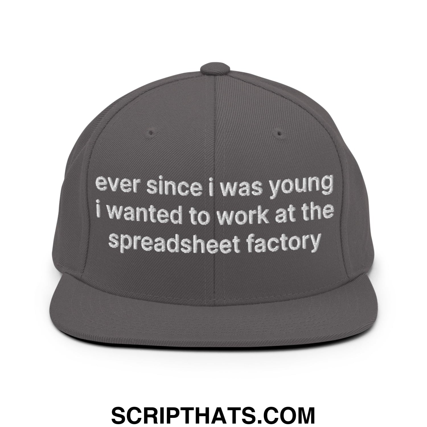 Ever Since I was Young I Wanted to Work at The Spreadsheet Factory Embroidered Flat Bill Brim Snapback Hat Dark Grey