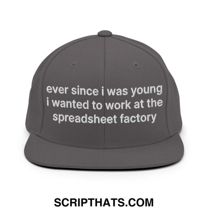 Ever Since I was Young I Wanted to Work at The Spreadsheet Factory Embroidered Flat Bill Brim Snapback Hat Dark Grey