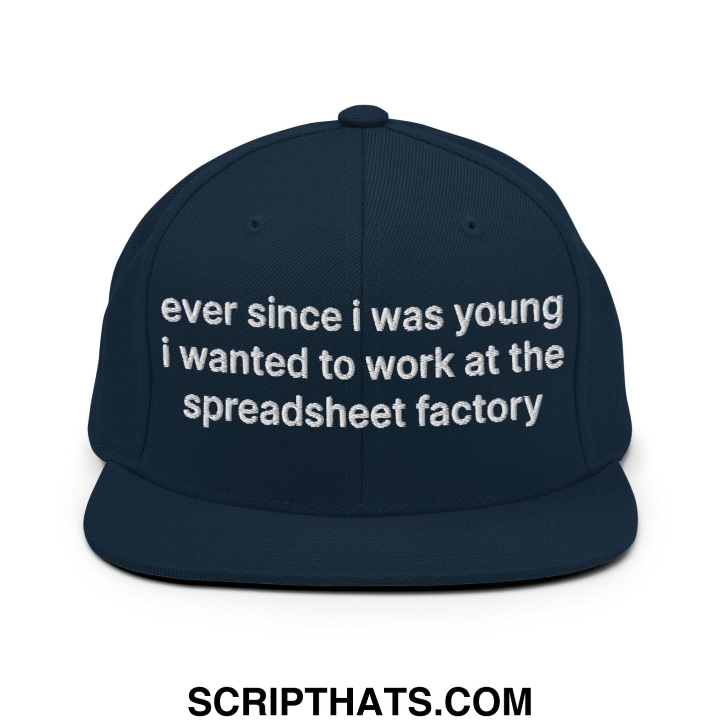 Ever Since I was Young I Wanted to Work at The Spreadsheet Factory Embroidered Flat Bill Brim Snapback Hat Dark Navy