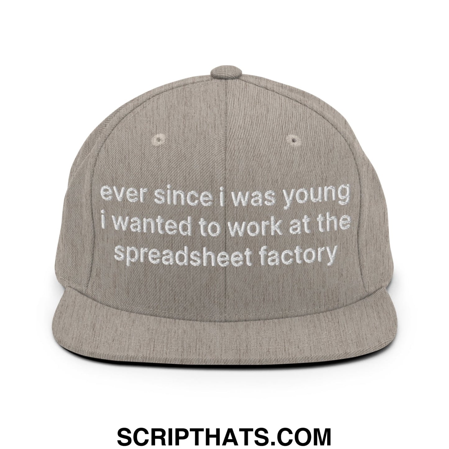 Ever Since I was Young I Wanted to Work at The Spreadsheet Factory Embroidered Flat Bill Brim Snapback Hat Heather Grey