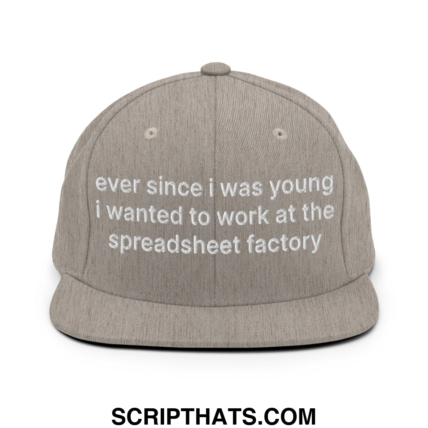 Ever Since I was Young I Wanted to Work at The Spreadsheet Factory Embroidered Flat Bill Brim Snapback Hat Heather Grey