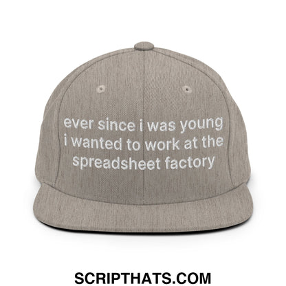 Ever Since I was Young I Wanted to Work at The Spreadsheet Factory Embroidered Flat Bill Brim Snapback Hat Heather Grey