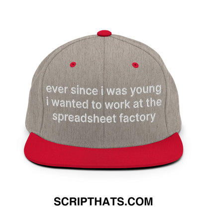 Ever Since I was Young I Wanted to Work at The Spreadsheet Factory Embroidered Flat Bill Brim Snapback Hat Heather Grey Red