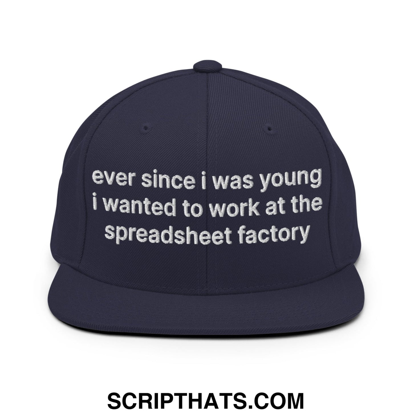Ever Since I was Young I Wanted to Work at The Spreadsheet Factory Embroidered Flat Bill Brim Snapback Hat Navy