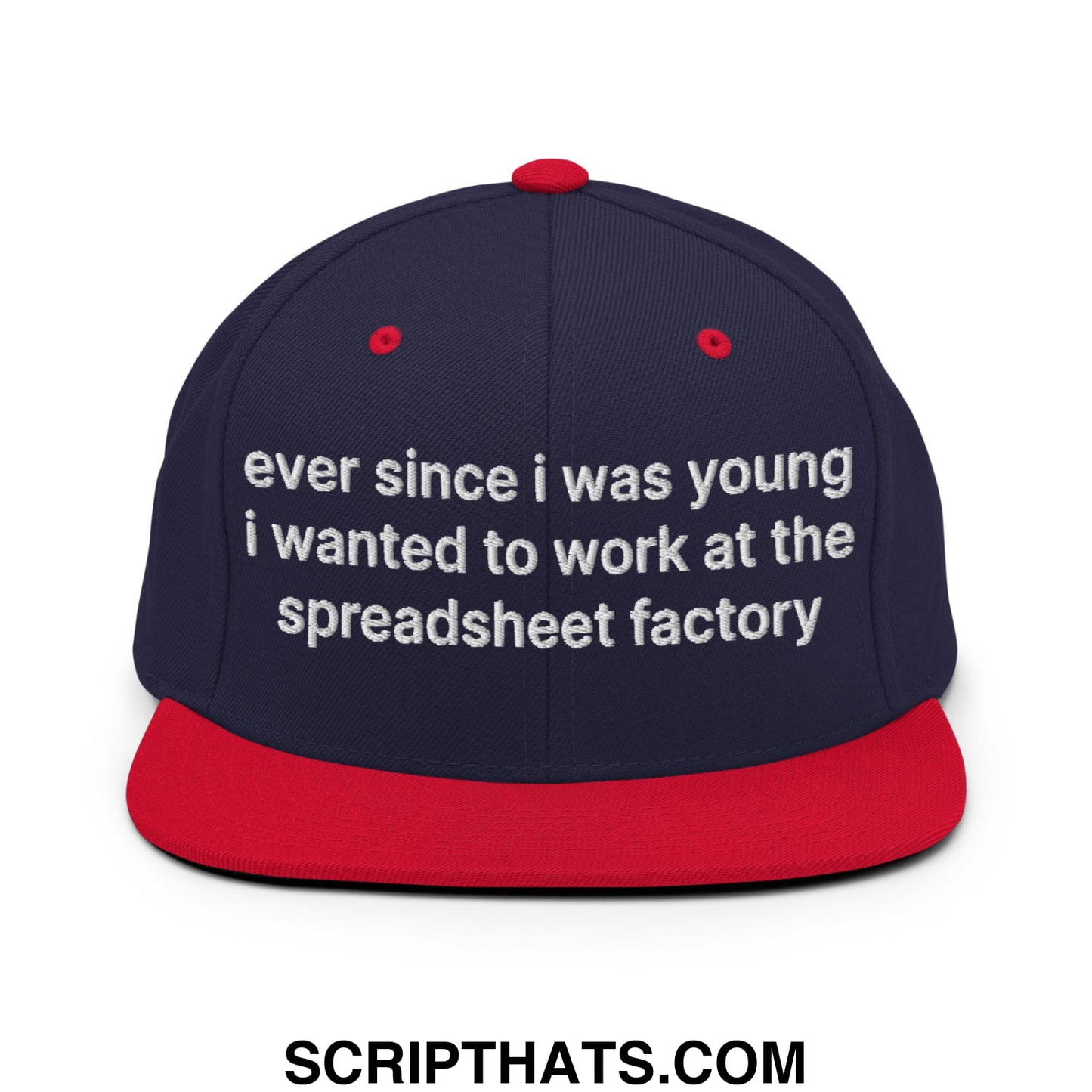 Ever Since I was Young I Wanted to Work at The Spreadsheet Factory Embroidered Flat Bill Brim Snapback Hat Navy Red