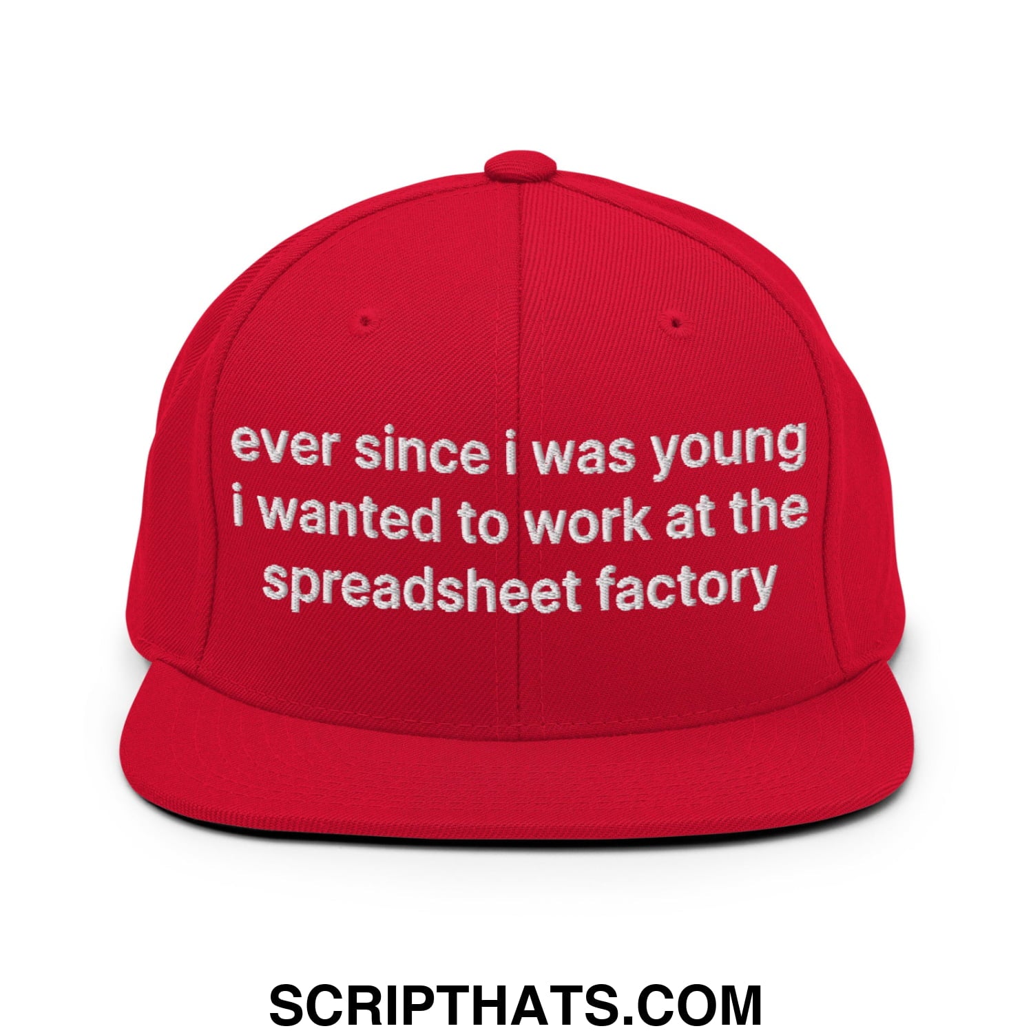 Ever Since I was Young I Wanted to Work at The Spreadsheet Factory Embroidered Flat Bill Brim Snapback Hat Red