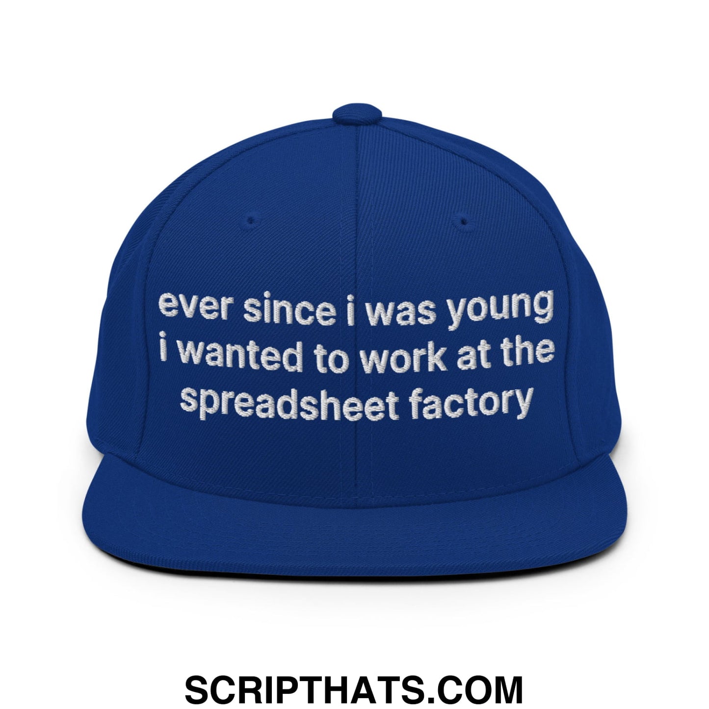 Ever Since I was Young I Wanted to Work at The Spreadsheet Factory Embroidered Flat Bill Brim Snapback Hat Royal Blue