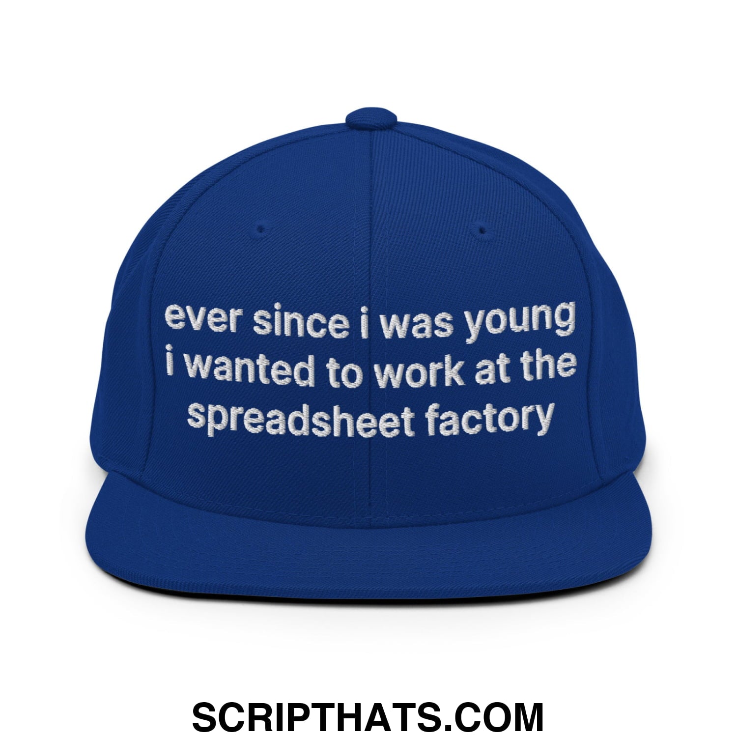 Ever Since I was Young I Wanted to Work at The Spreadsheet Factory Embroidered Flat Bill Brim Snapback Hat Royal Blue