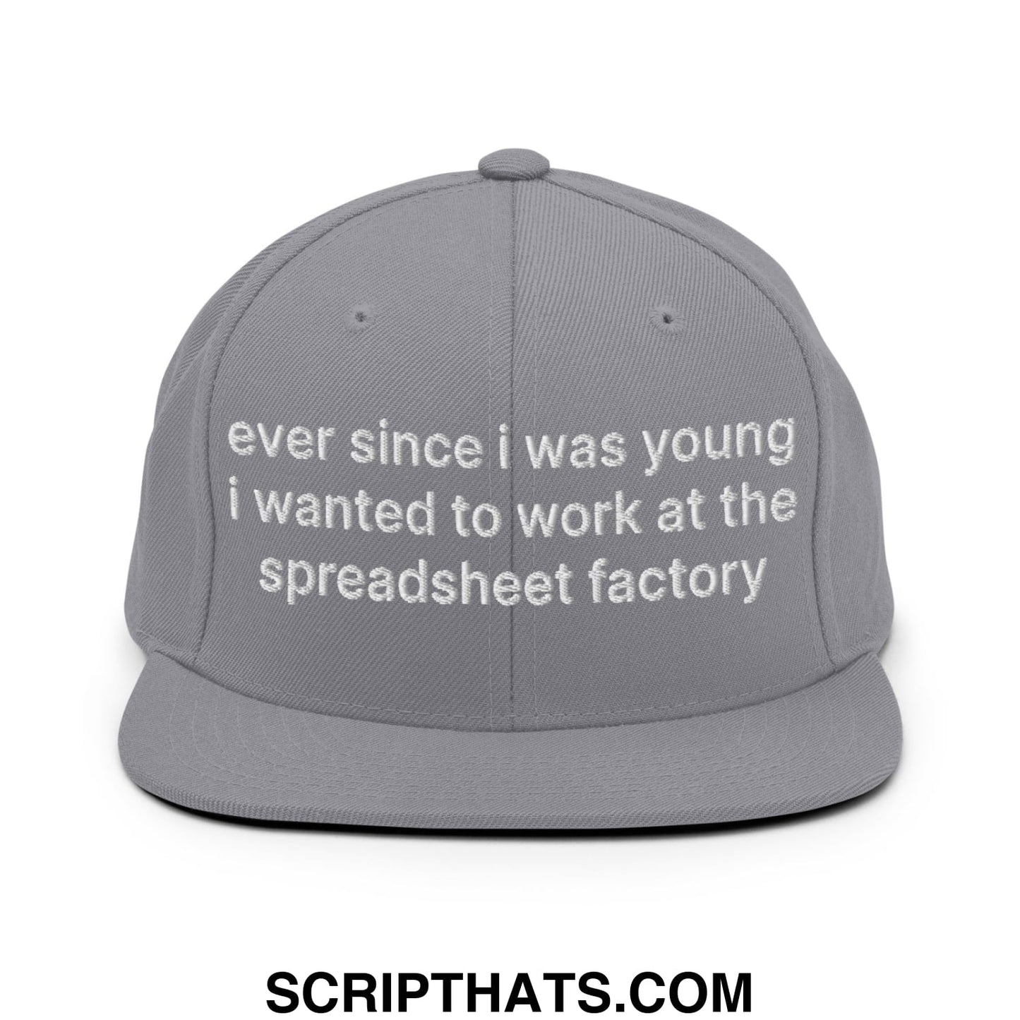Ever Since I was Young I Wanted to Work at The Spreadsheet Factory Embroidered Flat Bill Brim Snapback Hat Silver