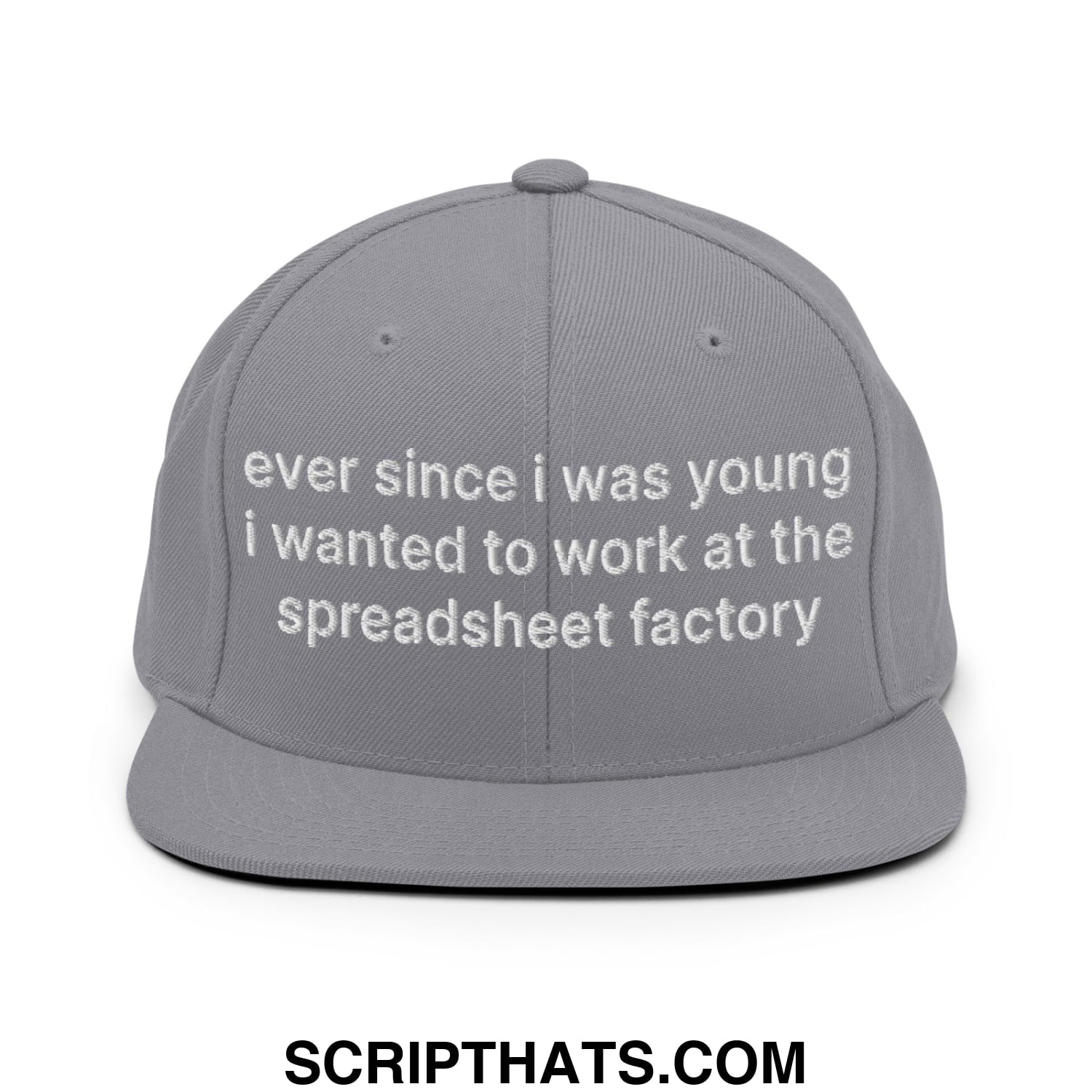 Ever Since I was Young I Wanted to Work at The Spreadsheet Factory Embroidered Flat Bill Brim Snapback Hat Silver