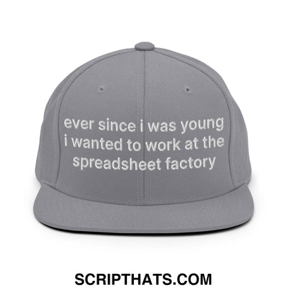 Ever Since I was Young I Wanted to Work at The Spreadsheet Factory Embroidered Flat Bill Brim Snapback Hat Silver