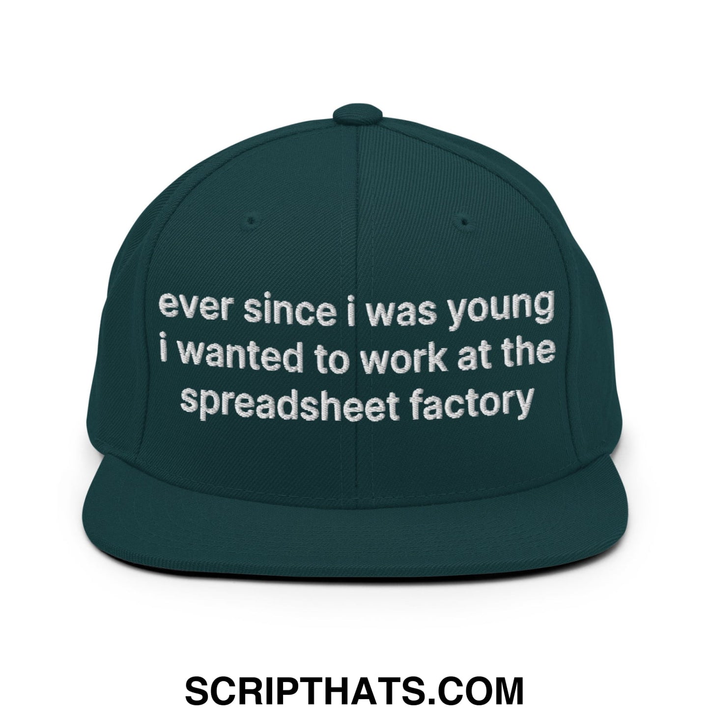 Ever Since I was Young I Wanted to Work at The Spreadsheet Factory Embroidered Flat Bill Brim Snapback Hat Spruce