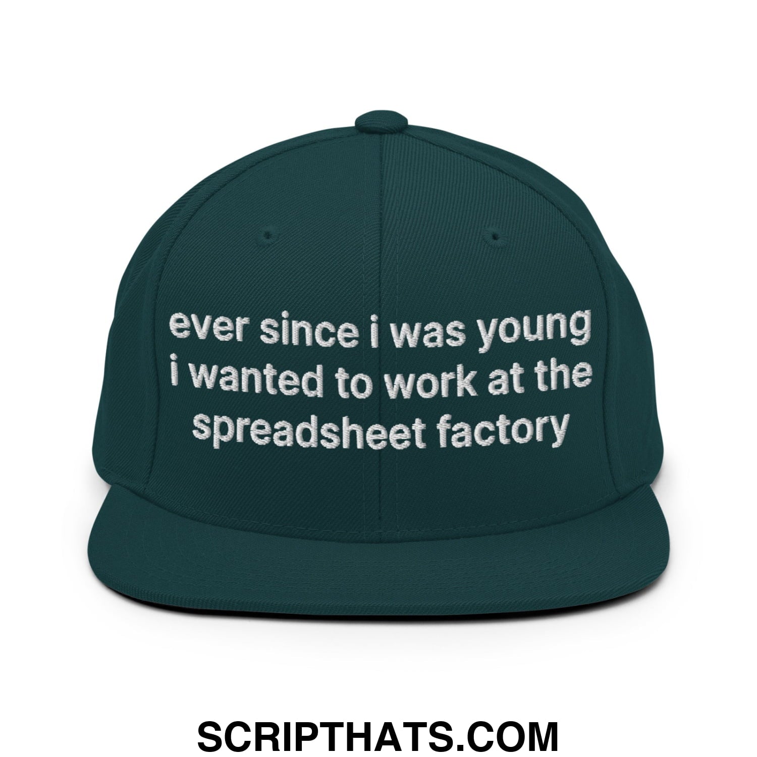 Ever Since I was Young I Wanted to Work at The Spreadsheet Factory Embroidered Flat Bill Brim Snapback Hat Spruce