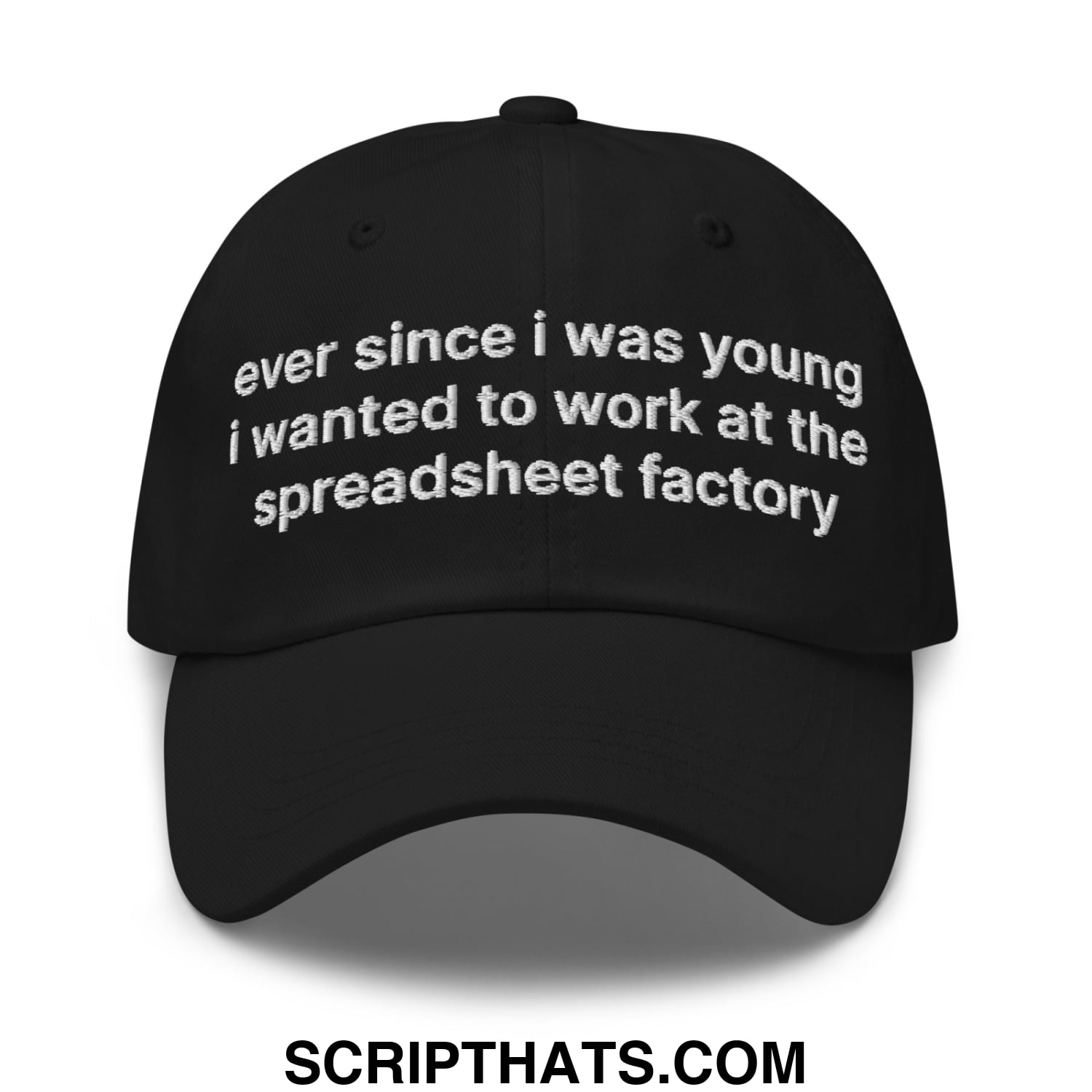 Ever Since I was Young I Wanted to Work at The Spreadsheet Factory Embroidered Unstructured Dad Hat Black