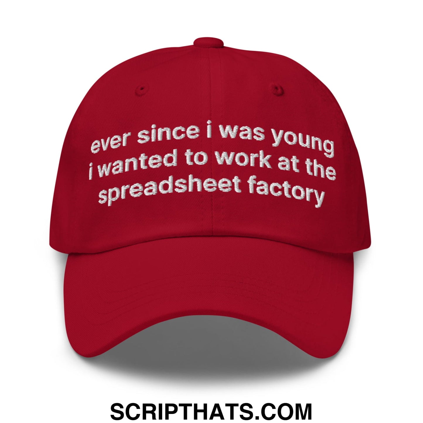 Ever Since I was Young I Wanted to Work at The Spreadsheet Factory Embroidered Unstructured Dad Hat Cranberry