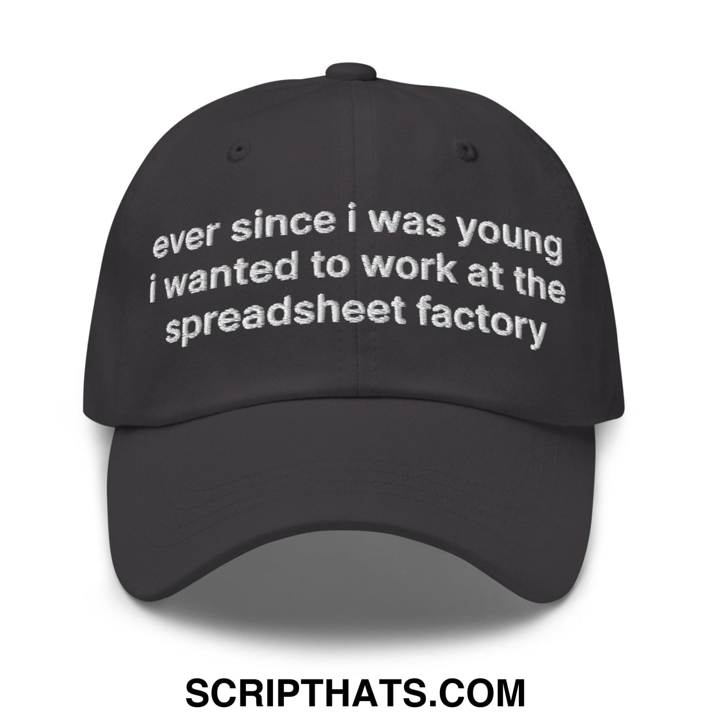 Ever Since I was Young I Wanted to Work at The Spreadsheet Factory Embroidered Unstructured Dad Hat Dark Grey