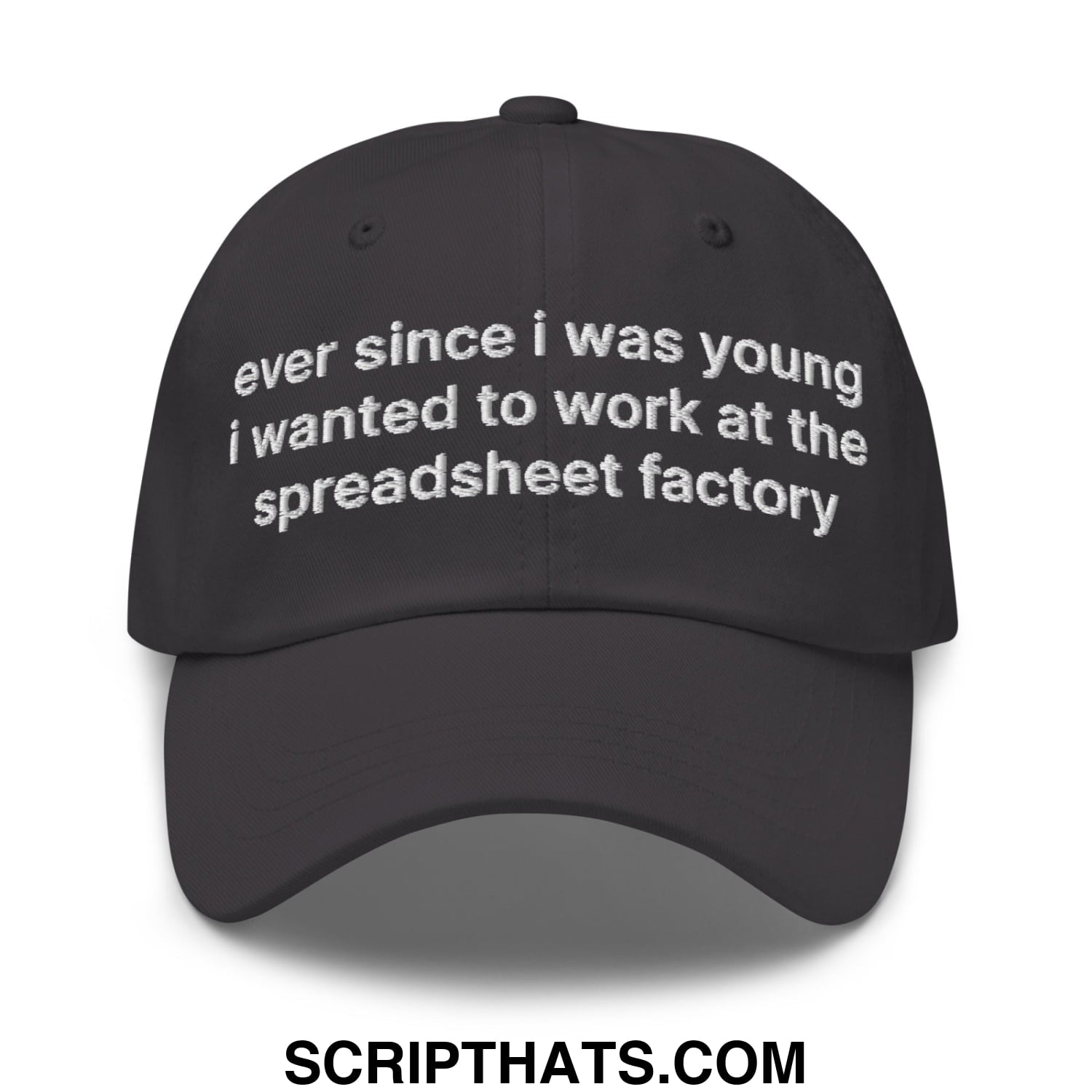 Ever Since I was Young I Wanted to Work at The Spreadsheet Factory Embroidered Unstructured Dad Hat Dark Grey