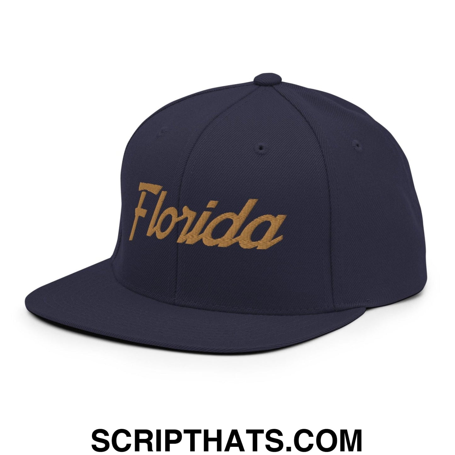 Florida Hockey V Vintage Sports Script Snapback Hat Navy