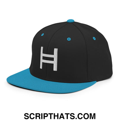 Hedera Hashgraph Crypto Embroidered Flat Bill Brim Snapback Hat Black Teal