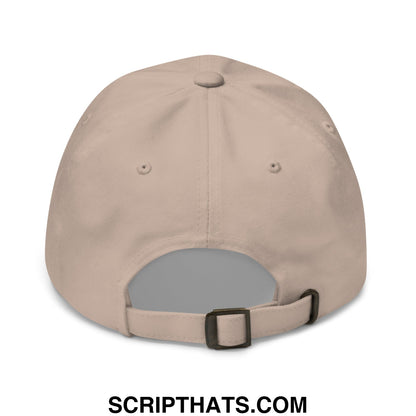 Hit The Damn Ball Embroidered Unstructured Golf Dad Hat Stone