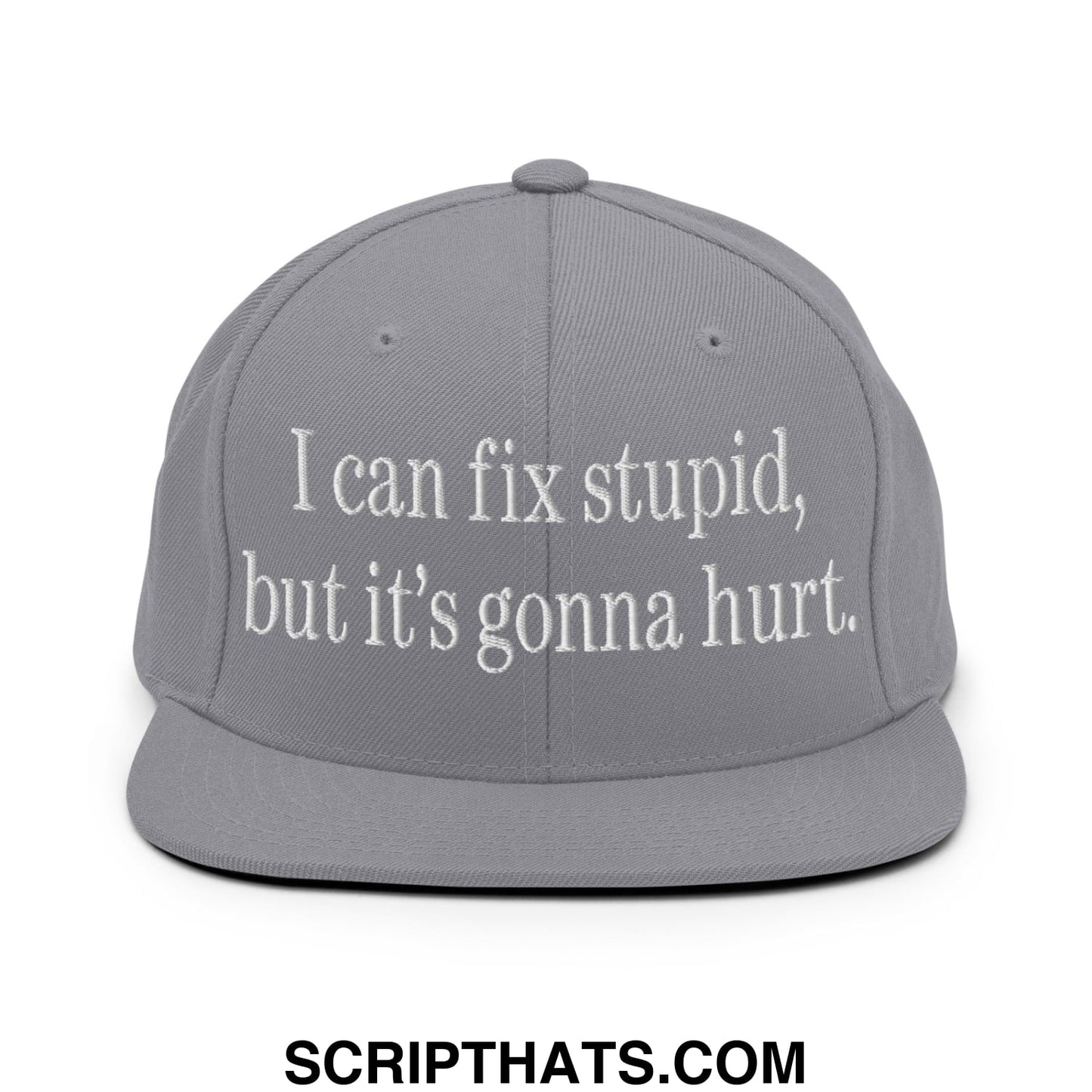 I Can Fix Stupid But It's Gonna Hurt Embroidered Flat Bill Brim Snapback Hat Silver