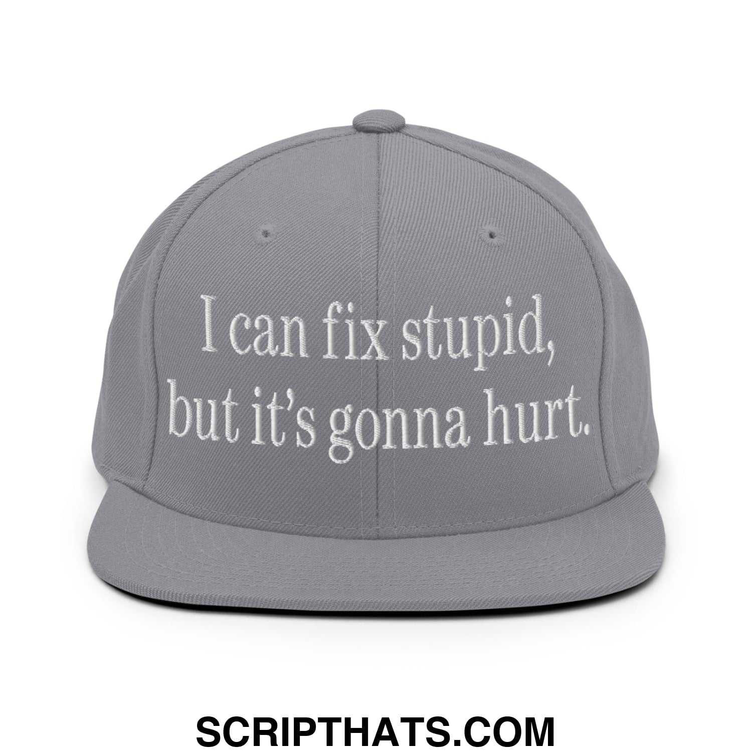 I Can Fix Stupid But It's Gonna Hurt Embroidered Flat Bill Brim Snapback Hat Silver