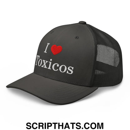 I Love Toxicos Embroidered Mesh Trucker Hat Charcoal