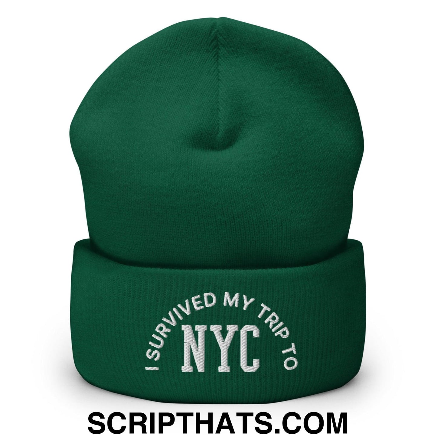 I Survived My Trip to NYC Embroidered Knit Cuffed Beanie Spruce