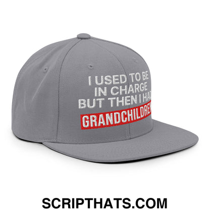 I Used to Be in Charge but Then I Had Grandchildren Embroidered Flat Bill Brim Snapback Hat Silver