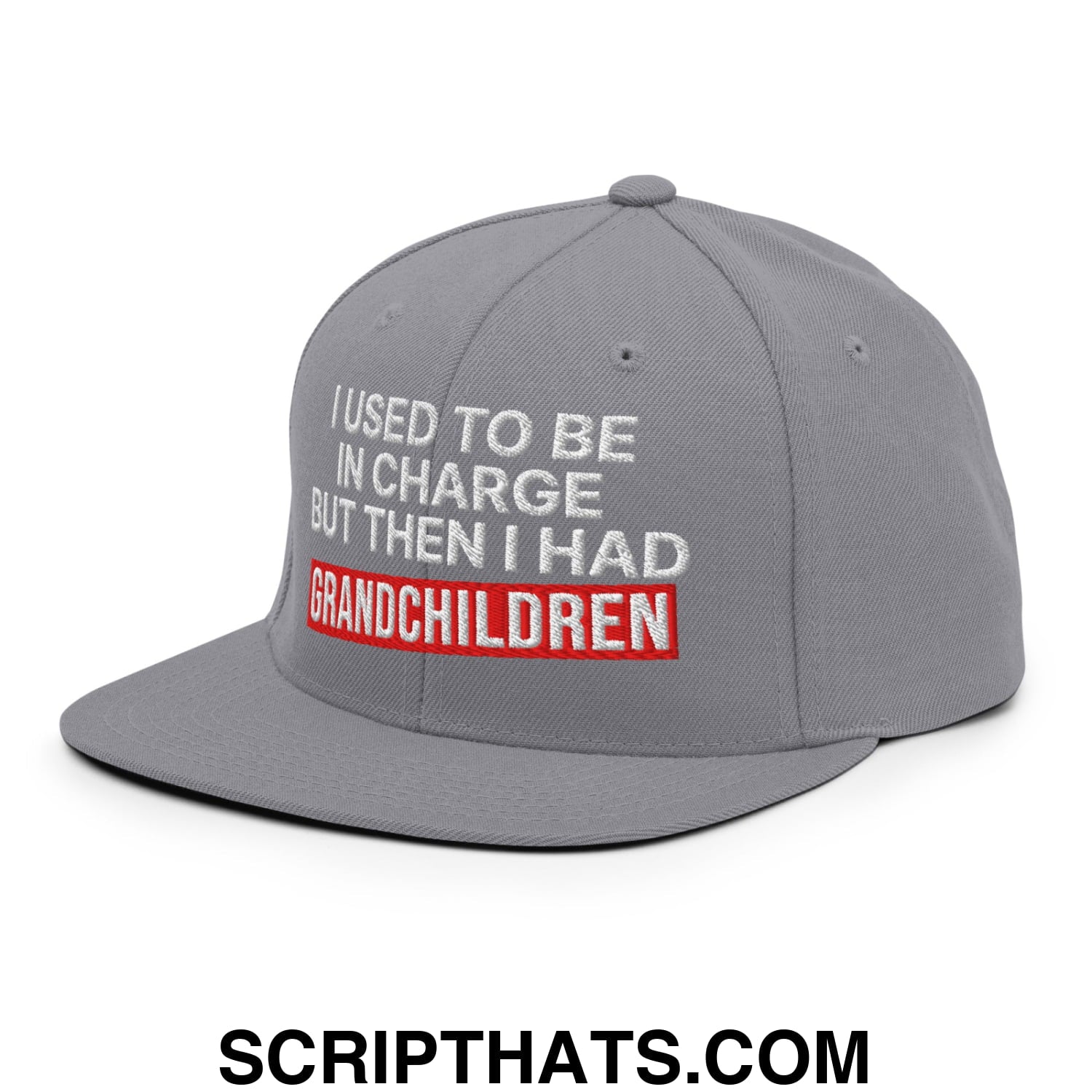 I Used to Be in Charge but Then I Had Grandchildren Embroidered Flat Bill Brim Snapback Hat Silver