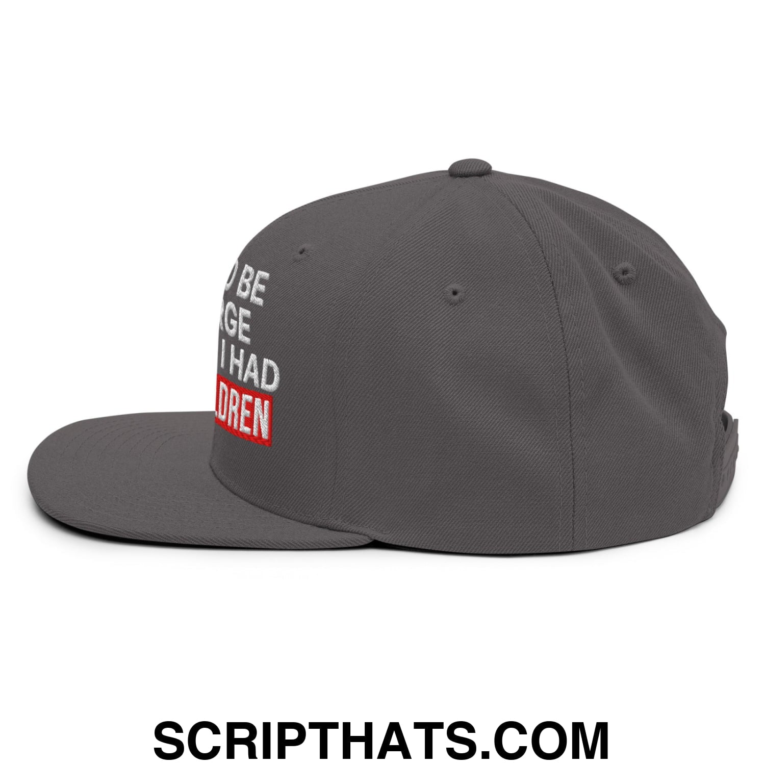 I Used to Be in Charge but Then I Had Grandchildren Embroidered Flat Bill Brim Snapback Hat Dark Grey