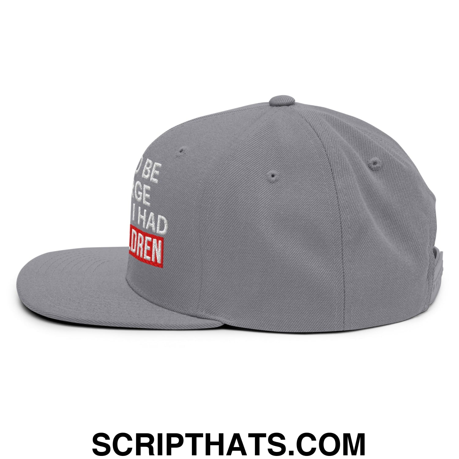 I Used to Be in Charge but Then I Had Grandchildren Embroidered Flat Bill Brim Snapback Hat Silver