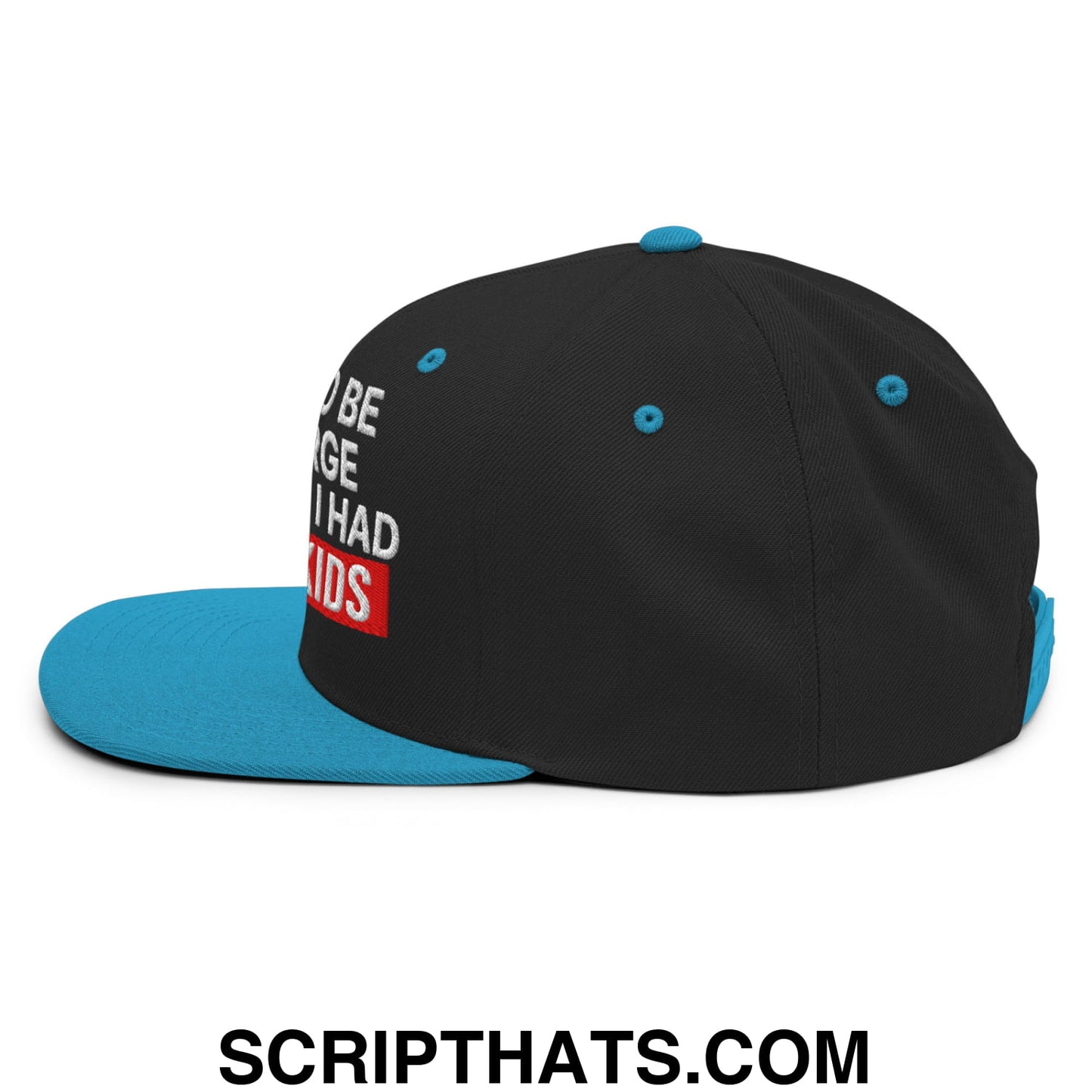 I Used to Be in Charge but Then I Had Grandkids Embroidered Flat Bill Brim Snapback Hat Black Teal