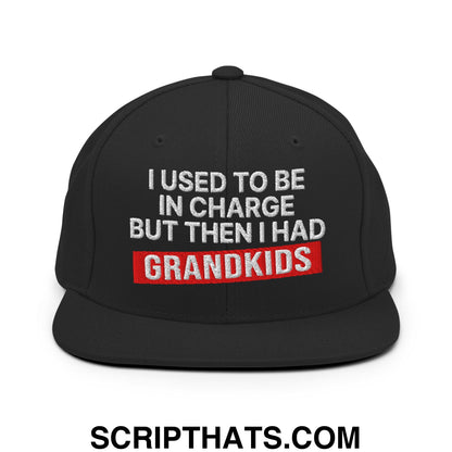I Used to Be in Charge but Then I Had Grandkids Embroidered Flat Bill Brim Snapback Hat Black