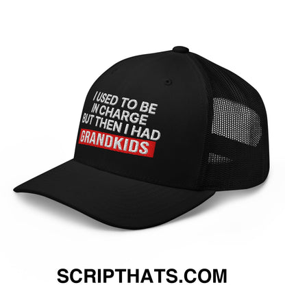 I Used to Be in Charge but Then I Had Grandkids Embroidered Mesh Trucker Hat Black