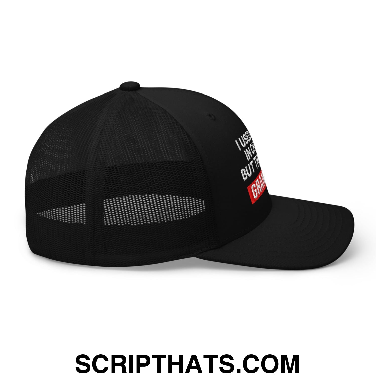 I Used to Be in Charge but Then I Had Grandkids Embroidered Mesh Trucker Hat Black