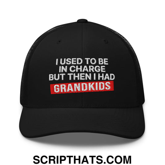 I Used to Be in Charge but Then I Had Grandkids Embroidered Mesh Trucker Hat Black
