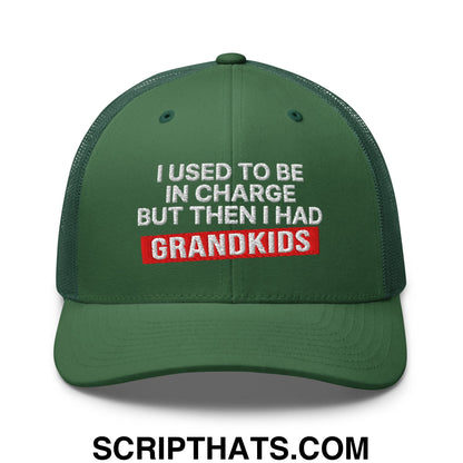 I Used to Be in Charge but Then I Had Grandkids Embroidered Mesh Trucker Hat Evergreen