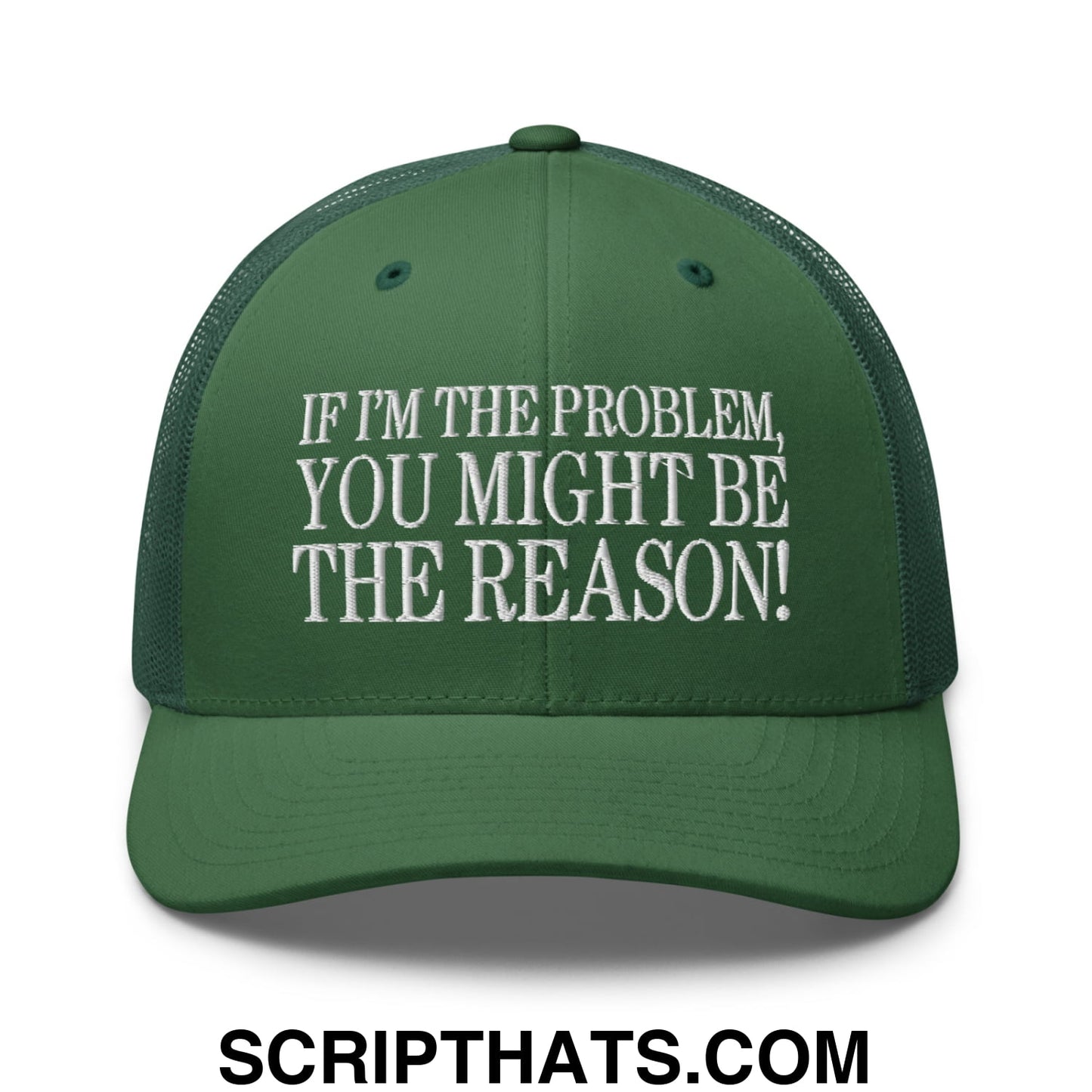 If I'm The Problem, You Might Be The Reason! Embroidered Mesh Trucker Hat Evergreen