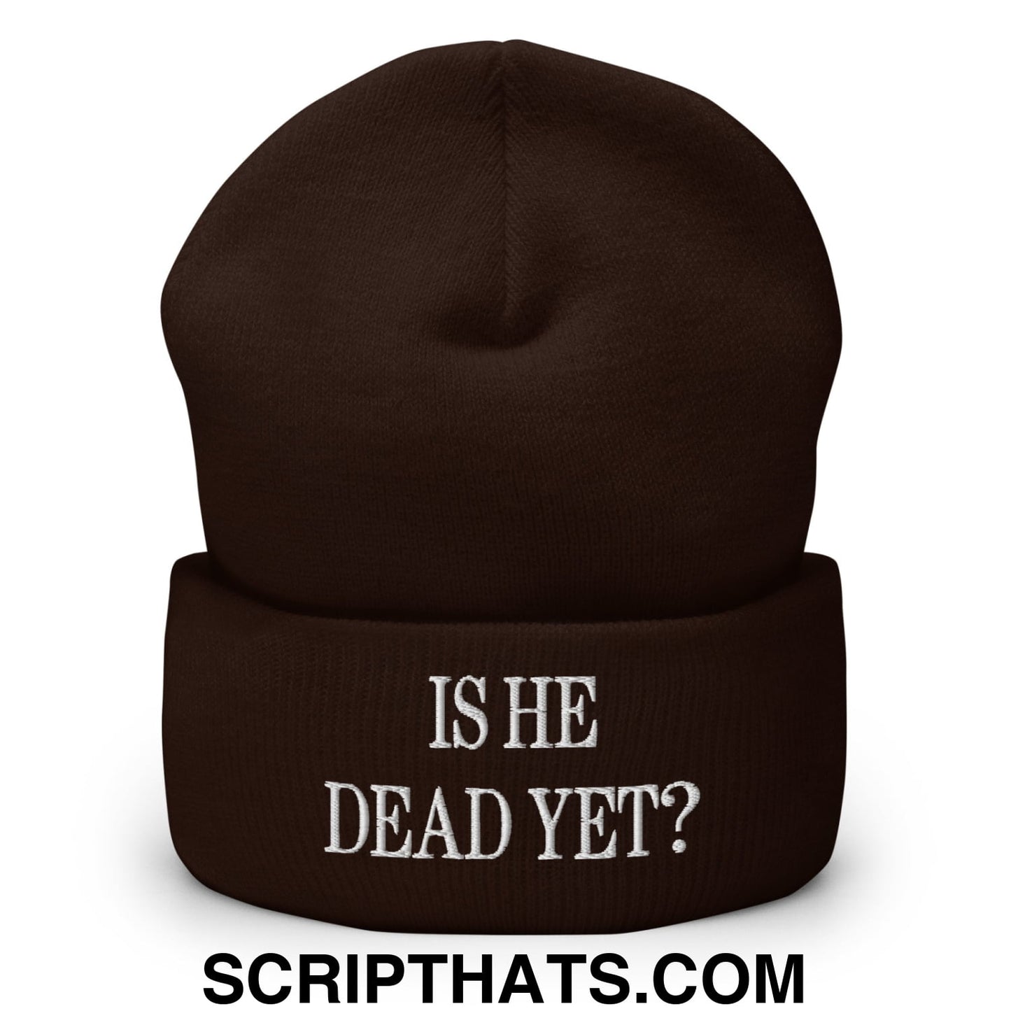 Is He Dead Yet? Embroidered Cuffed Knit Beanie Brown